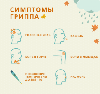 Внимание, грипп 2
